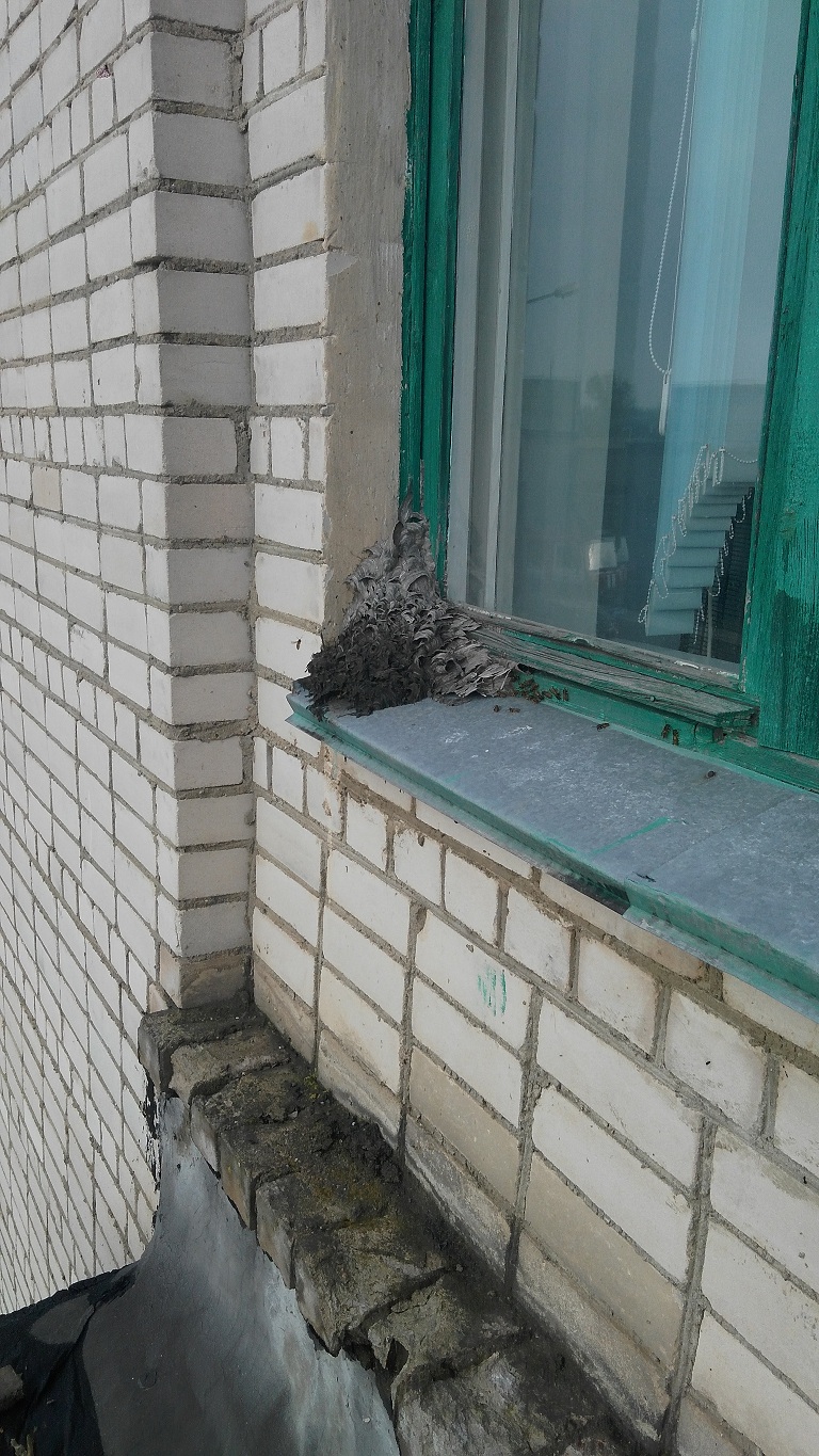 IMG 20201013 093251