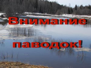 000305 953050 1
