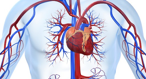 Профилактика пищевых отравлений