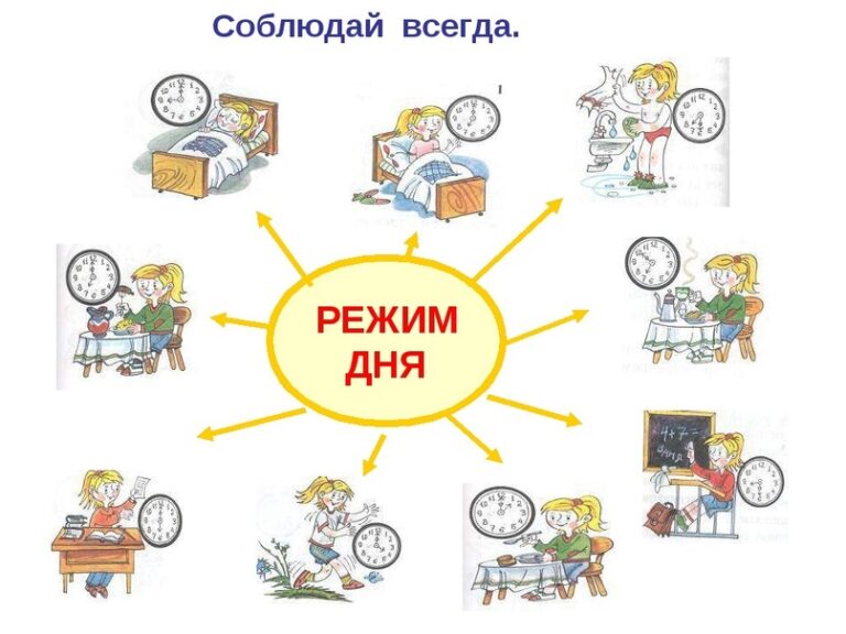 Режим дня и здоровья школьника