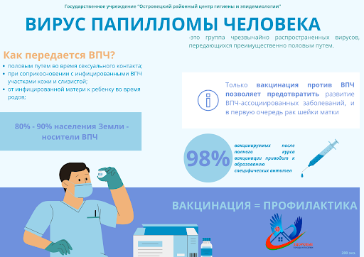 Папилломавирусная инфекция (ВПЧ – инфекция)