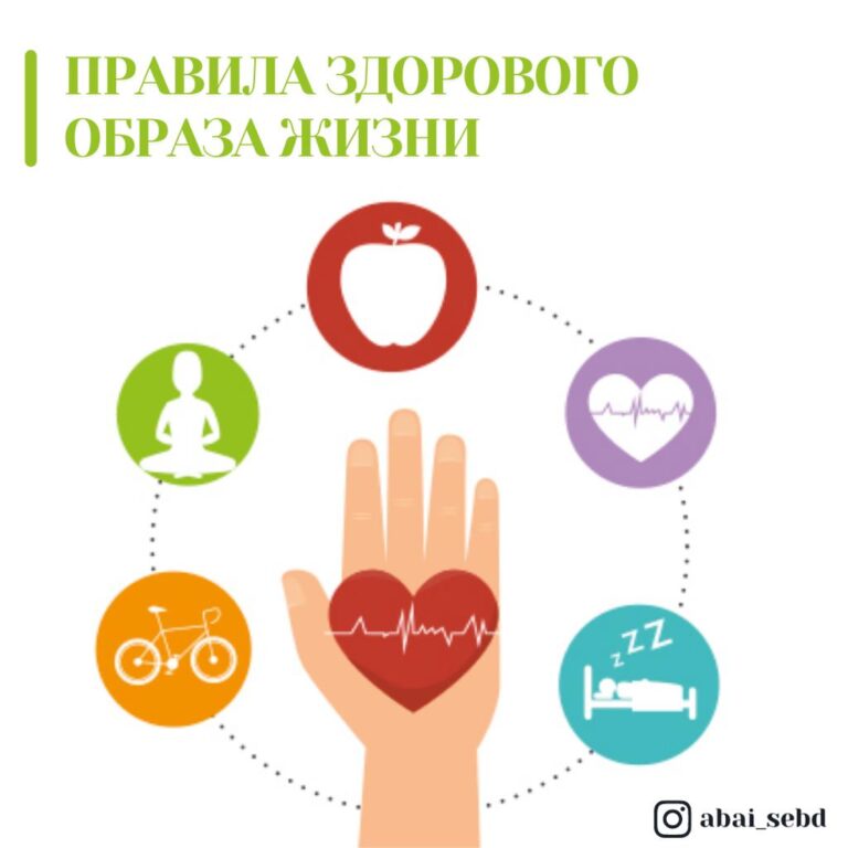 Правила здорового образа жизни