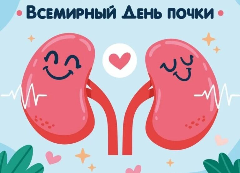 12 марта — Всемирный день почки