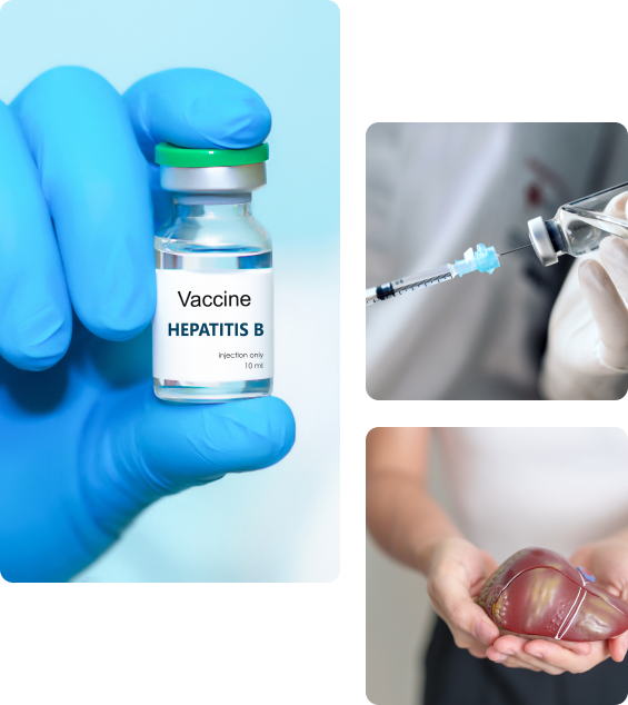 Гепатит B и прививка от него