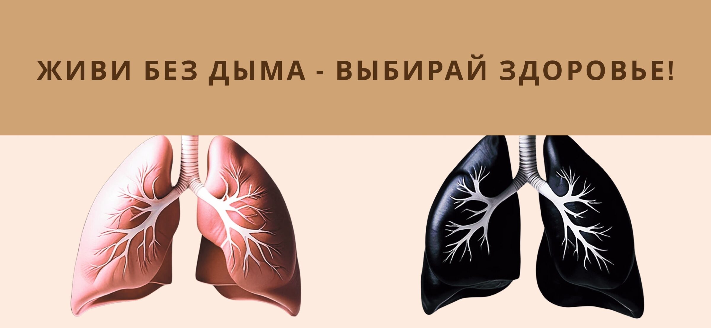 Живи без дыма — выбирай здоровье!!!!
